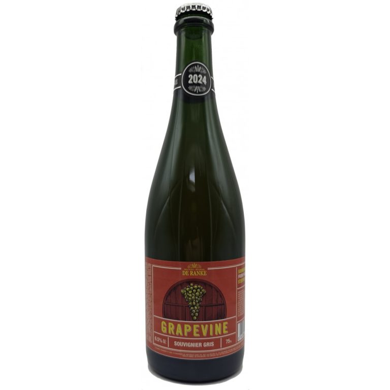Grapevine 2024 | Souvignier Gris