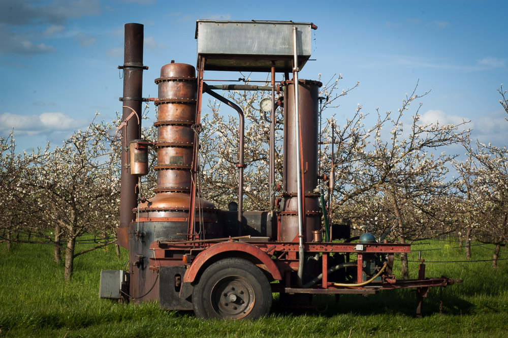 5 Autels: calvados, cidres et poirés, tout nouvellement chez Agence Vitriol